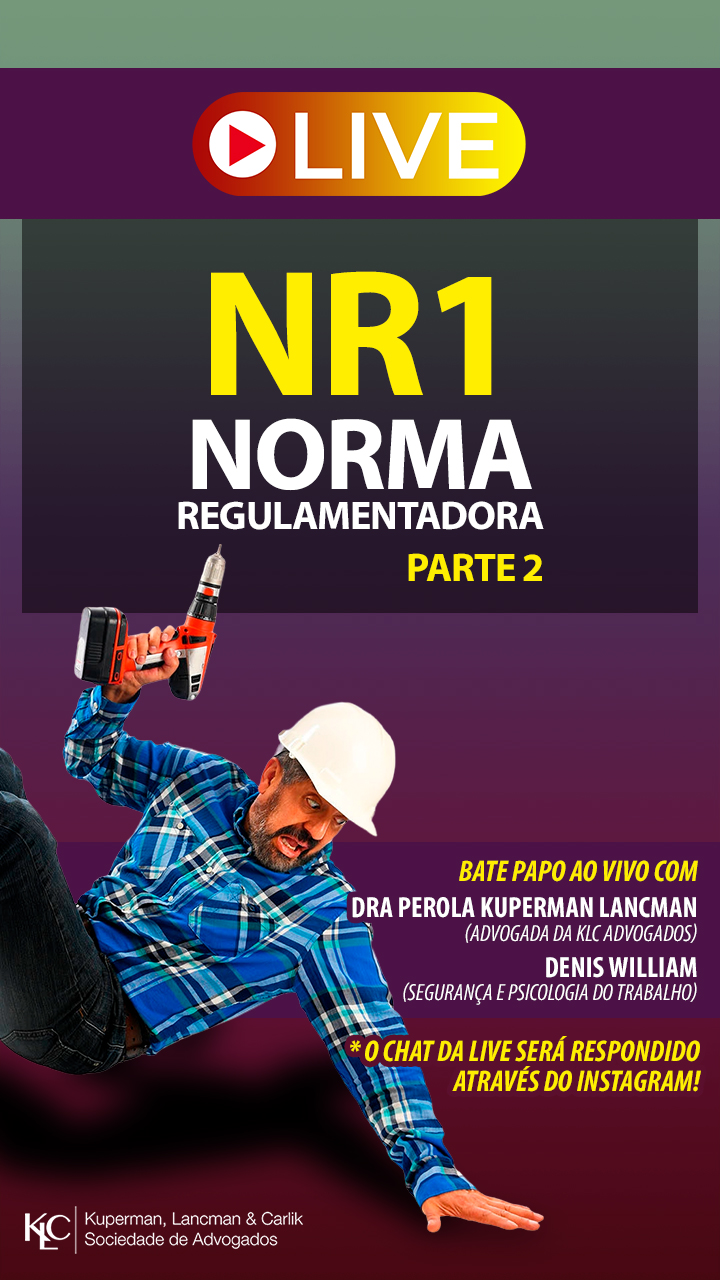 NORMA REGULAMENTADORA #1 - PARTE 2