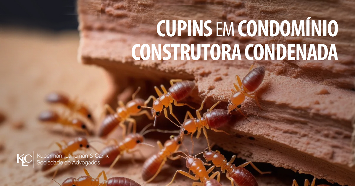 CUPINS EM CONDOMÍNIO: CONSTRUTORA CONDENADA