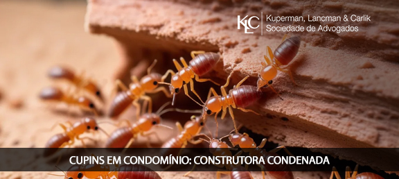 CUPINS EM CONDOMÍNIO: CONSTRUTORA CONDENADA