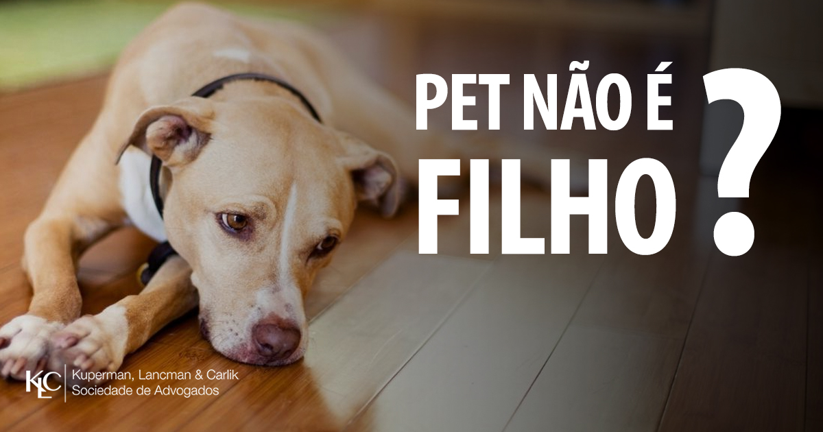 PET NÃO É FILHO PARA A JUSTIÇA