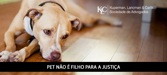 PET NÃO É FILHO PARA A JUSTIÇA